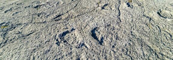 Natural monument of fossil dinosaur footprints in Serra D 'Aire in Pedreira do Galinha, in Portugal. A pedagogical circuit was created at the site, where visitors can see and touch the footprints photo