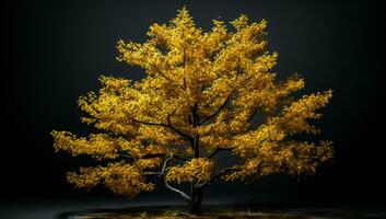 Tree with autumn colors isolated on dark background. AI generated photo