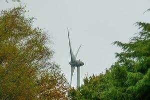 viento turbinas para sostenible eléctrico consumo foto