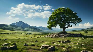 Large lonely tree with green natural leaves on the field photo