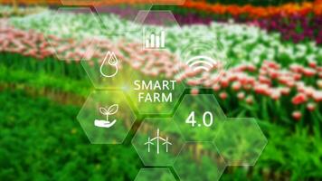 Smart farm, agriculture concept with infographics Smart farming and precision agriculture 4.0 with visual icon, digital technology agriculture and smart farming concept. photo