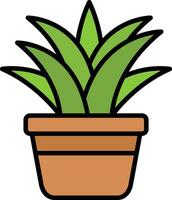 Spider Plant Vector Icon