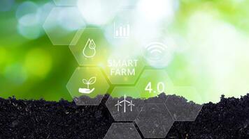 Smart farm, agriculture concept with infographics Smart farming and precision agriculture 4.0 with visual icon, digital technology agriculture and smart farming concept. photo