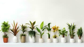 Indoor Studio Arrangement White Background Floral Design with Fresh Vegetables and Herbs. Create AI-Generated. photo