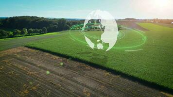 Rotating green 3D render globe as concept for climate protection and ecology on agricultural cornfield video