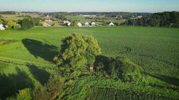 boswachter schuilplaats pas op toren voor dier bevolking observatie omringd door single bomen en groen velden video