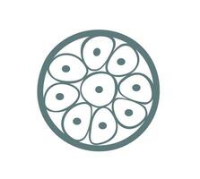 Morula icon. Embryo cell consisting of cells in a solid ball contained within the pellucida. Stage of segmentation of a fertilized ovum vector