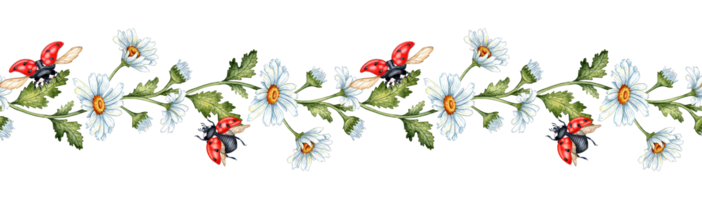 Pattern horizontal daisies and ladybugs watercolor png