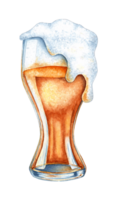 Watercolor illustration of beer with foam in a glass. Harvest festival, Oktoberfest beer festival. Compositions for posters, postcards, banners, flyers, covers, posters and other printing products. png