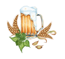 Watercolor illustration of beer with foam in a mug with hops, ears of wheat and grains. Harvest festival, Oktoberfest beer festival. Compositions for posters, cards, banners, flyers, covers, png