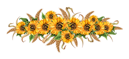 Watercolor illustration of a wreath border of sunflowers and ears of wheat. Harvest Festival. The border is isolated. Compositions for posters, cards, banners, flyers, covers, posters. png