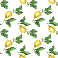 Lemon pattern and green leaves watercolor png