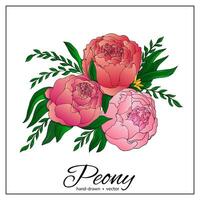 Peony flower. Colorful hand-drawn bouquet of flowers for spring festival banners, wedding invitations, bridal shower. vector