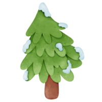 Christmas tree watercolor cartoon png