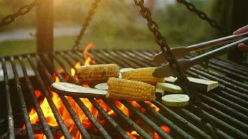 Golden corn cob is fried on grill or barbecue grate with smoke and flame. Picnic or party in nature. Summer weekend with healthy vegetarian food concept. video