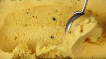 scoop la glace crème passion fruit, fermer Haut vue nourriture concept. italien gelato video