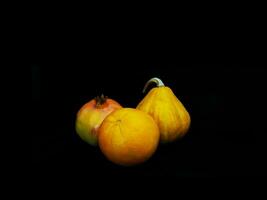Decorative pumpkins in different shapes and colors photo