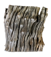 Tree stump PNG