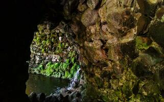 terra nostra parque en el azores es un grande botánico jardín con un enorme variedad de plantas y arboles y con lagos, corrientes y un piscina de volcánico origen. foto