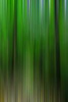 Intentional Camera Movement landscape with trees photo