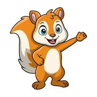 Cute squirrel cartoon on white background vector