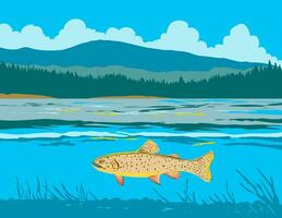 Apache Trout in Lee Valley Lake in Arizona WPA Art vector