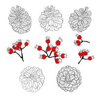 Pine cones and rosehip berries isolated on a white background. Vector graphics of black and white cones and red berries. A set of elements for a Christmas wreath or frame.