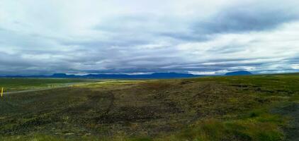 Detail of Iceland's lush natural landscape photo