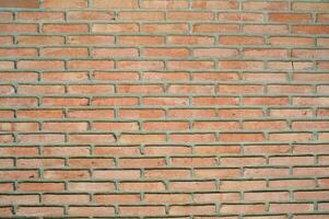 Brick Wall Background photo