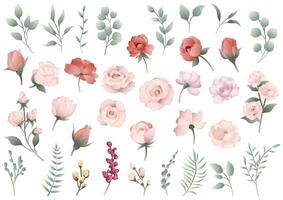 Vector Floral Element Illustration Set Isolated On A White Background.