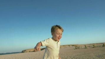 poco bambino in esecuzione per il suo padre su il spiaggia video