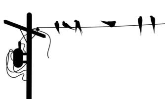 Silhouette of a group of swallows sitting on a power pole cable on a white background. Blackbird perched. Vector illustration