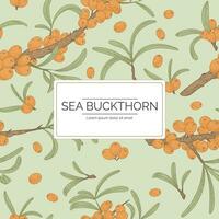 Label or logo with the name Sea Buckthorn. Twig with leaves and berries, background with pattern. Vector isolated template, natural packaging design.