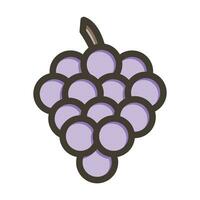 Grape Vector Thick Line Filled Colors Icon For Personal And Commercial Use.