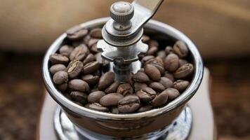 coffee beans in grinder photo