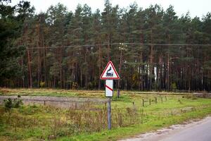 the road that passes through the pine forest and the railway in the autumn photo