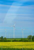 energía ecológica, turbinas eólicas foto