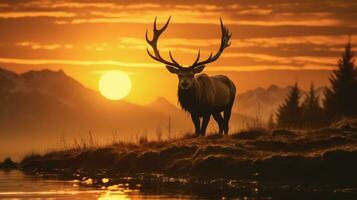 Moose with sunset AI Generated photo