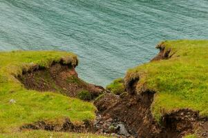 Detail of Iceland's lush natural landscape photo