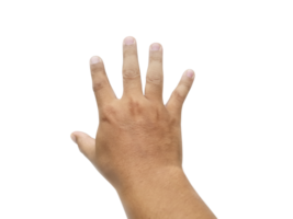 Man hand, transparent background png