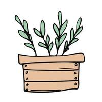 Wooden box with plant label in a flat graphic outline style. Isolated vector garden container with seedlings. color hand-drawn illustration of floriculture