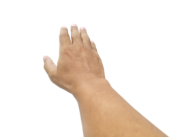 Mens hand, transparant achtergrond png