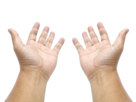 Mens hand, transparant achtergrond png