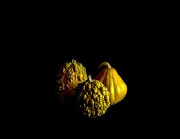Decorative pumpkins in different shapes and colors photo