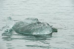 icebergs en jokulsarlon, un glacial lago en Islandia foto