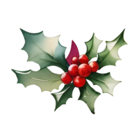 Christmas holly and berries isolated on the background, Christmas themes, generative AI png