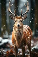 deer on snow nature background, AI Generated photo