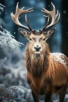 deer on snow nature background, AI Generated photo