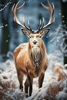 deer on snow nature background, AI Generated photo