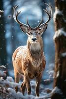 deer on snow nature background, AI Generated photo